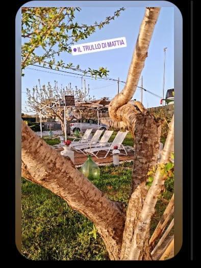 הוילה נוצ'י Il Trullo Di Mattia מראה חיצוני תמונה